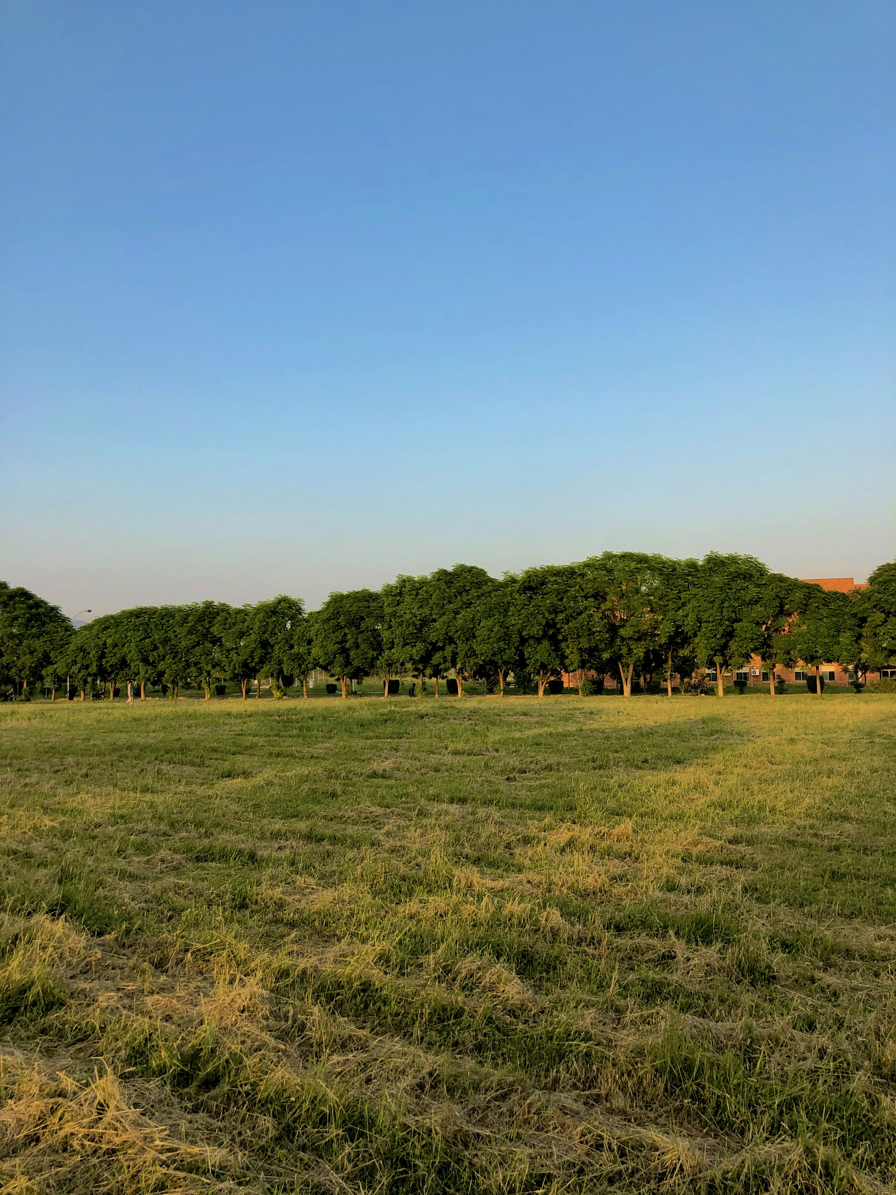 Photo by hashamshabbir98