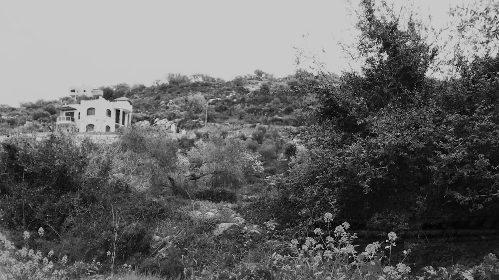 a house on a hill surrounded by trees and bushes