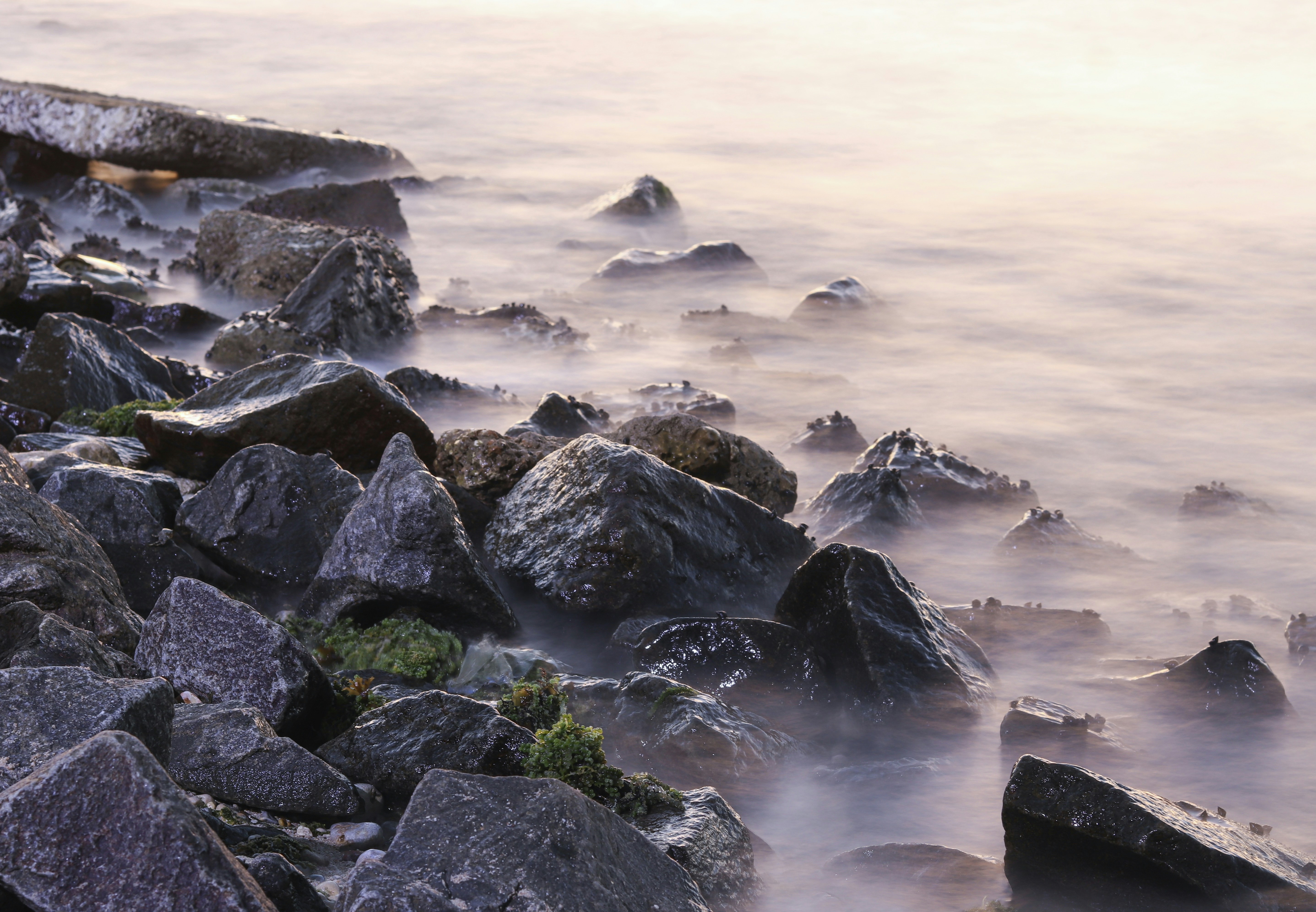 Photo by thineshkumar3