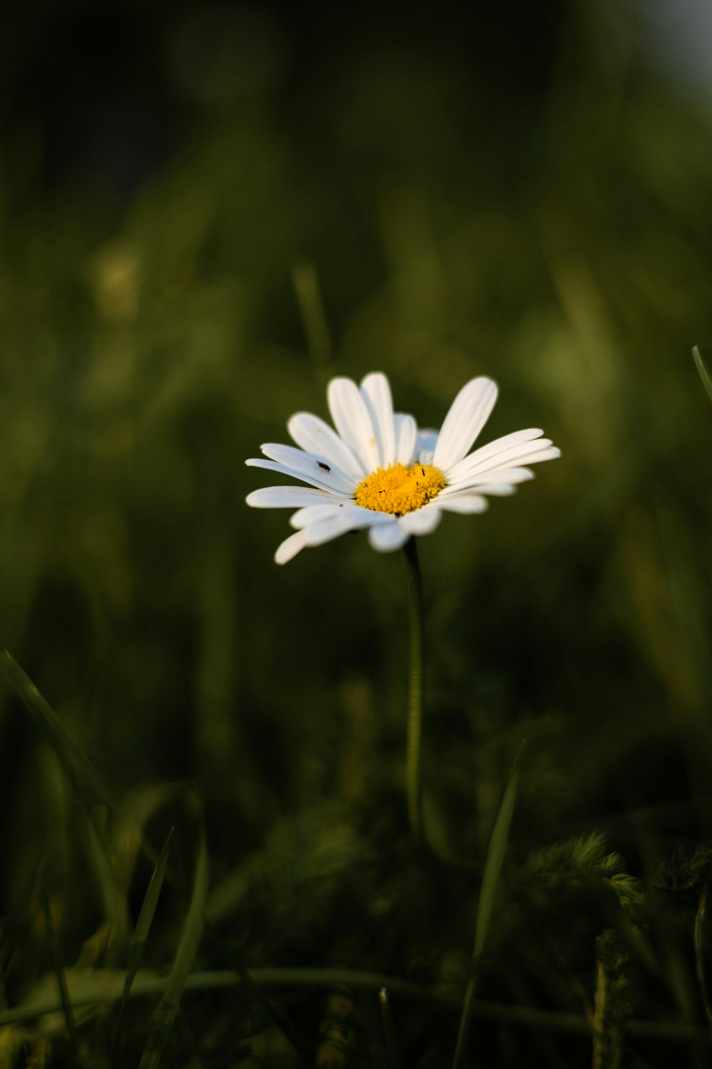 Photo by korobovaphoto