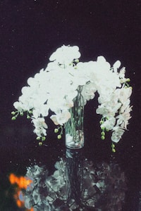 Crystal Vase