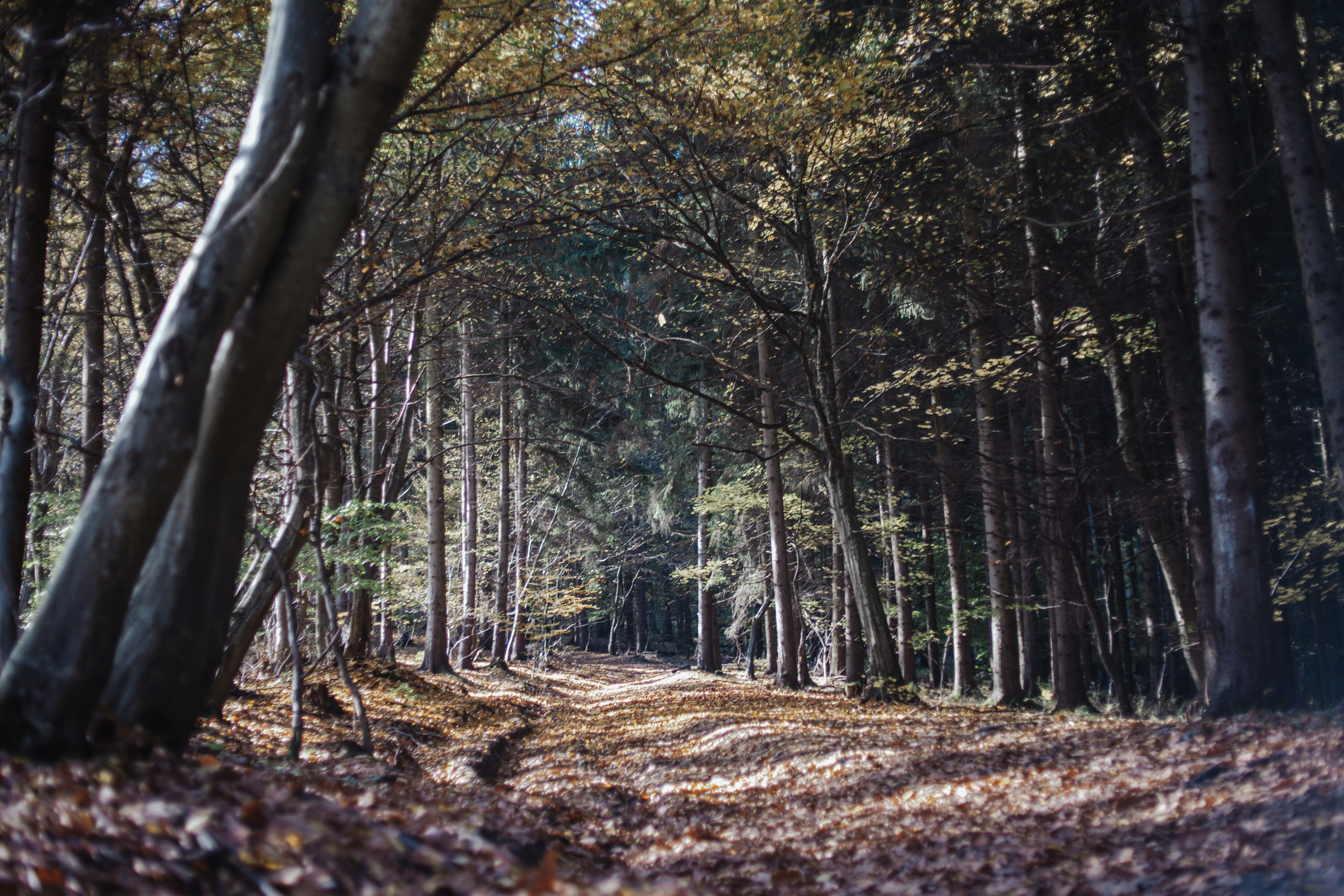 Photo by alex_emanuel20