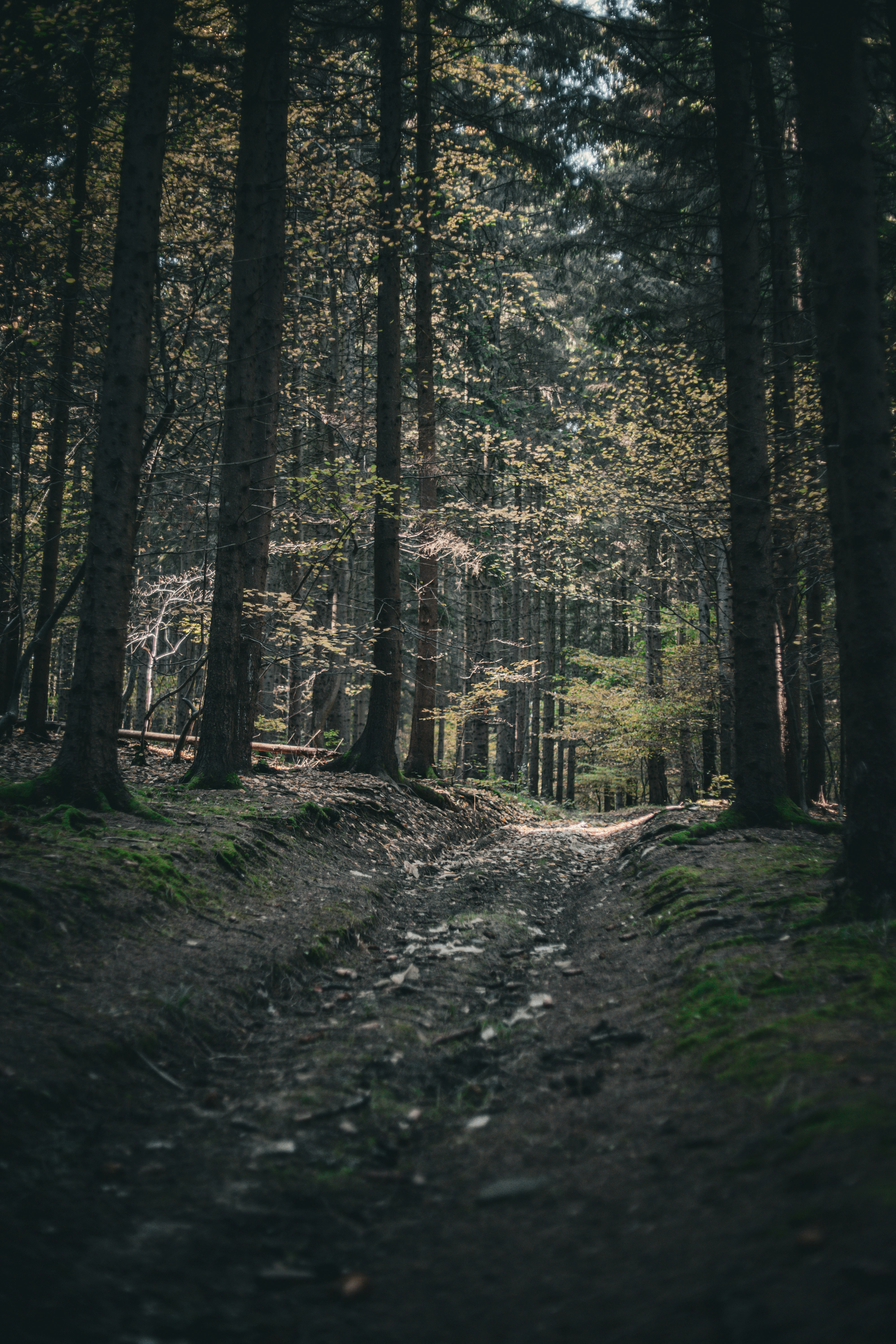 Photo by alex_emanuel20