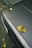 A metal car hood with a matte finish has several fallen yellow leaves scattered on its surface. The vehicle is parked on an asphalt road near a sidewalk. The image includes a date stamp in red text at the bottom left corner.