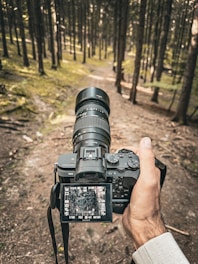 A scenic forest trail with a hiker capturing footage using a POV camera.