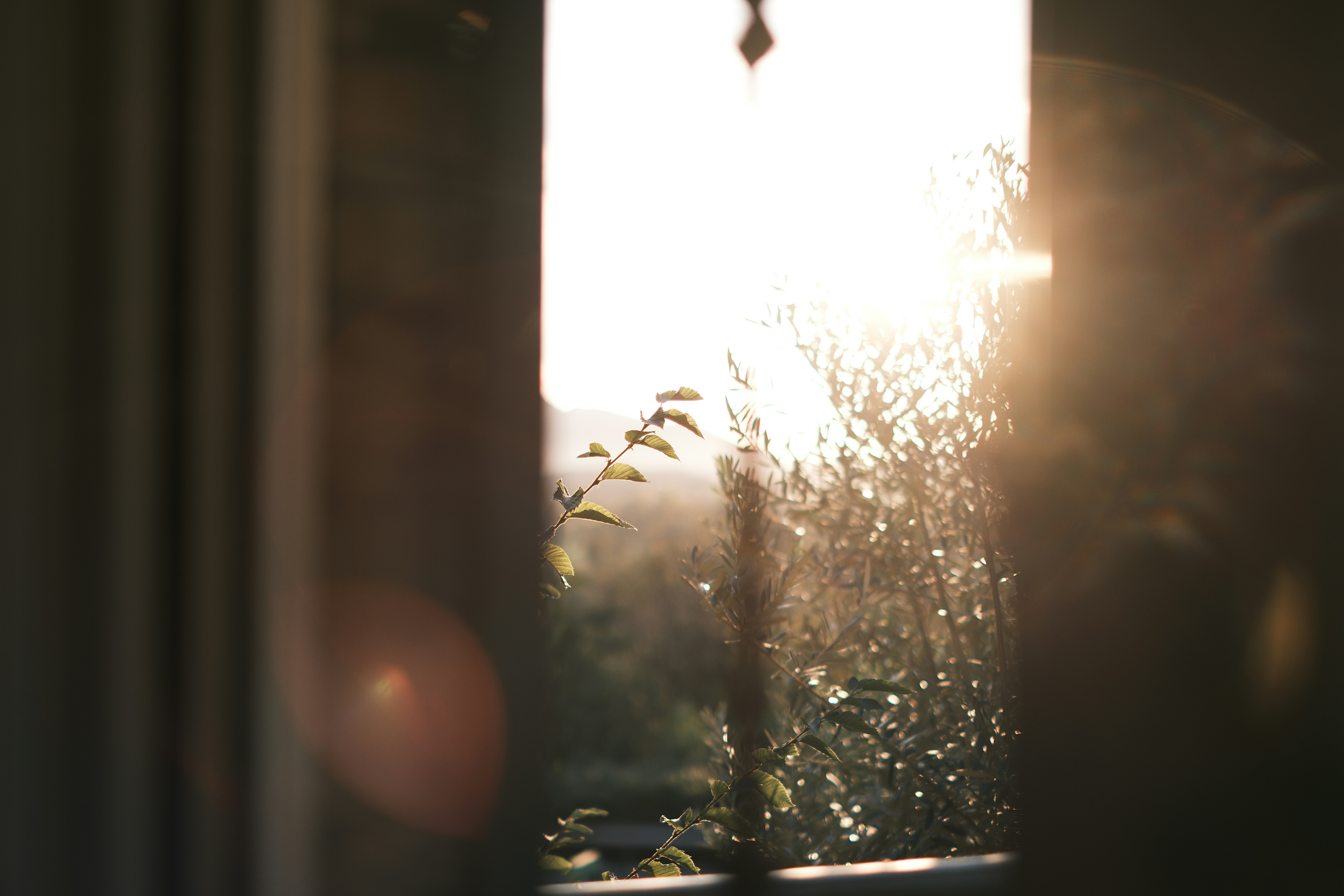 Photo by gr_fotografia