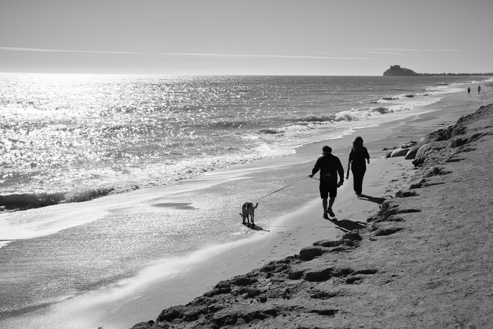 a couple of people walking a dog on a beach