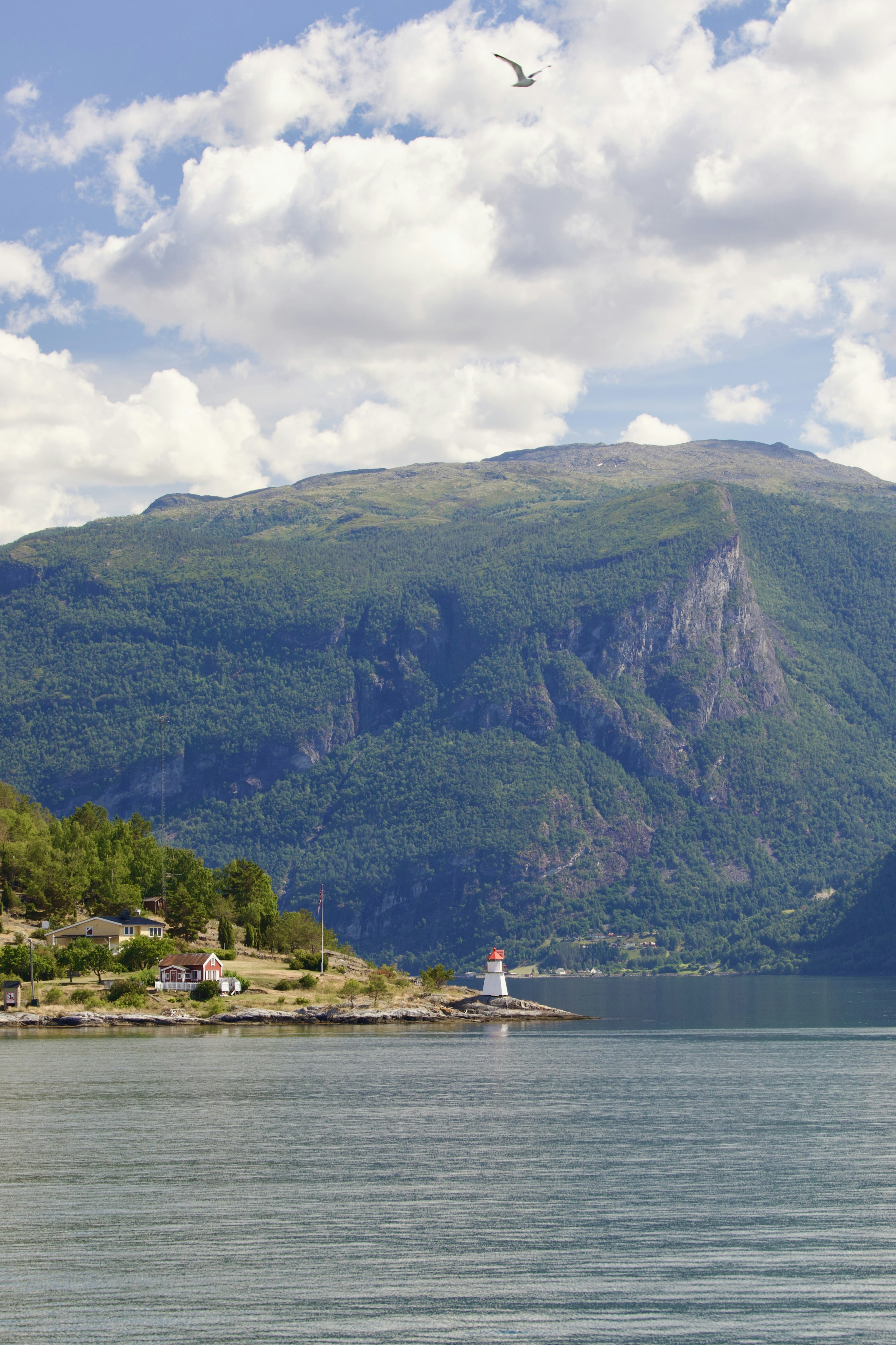 Photo by stockbirken