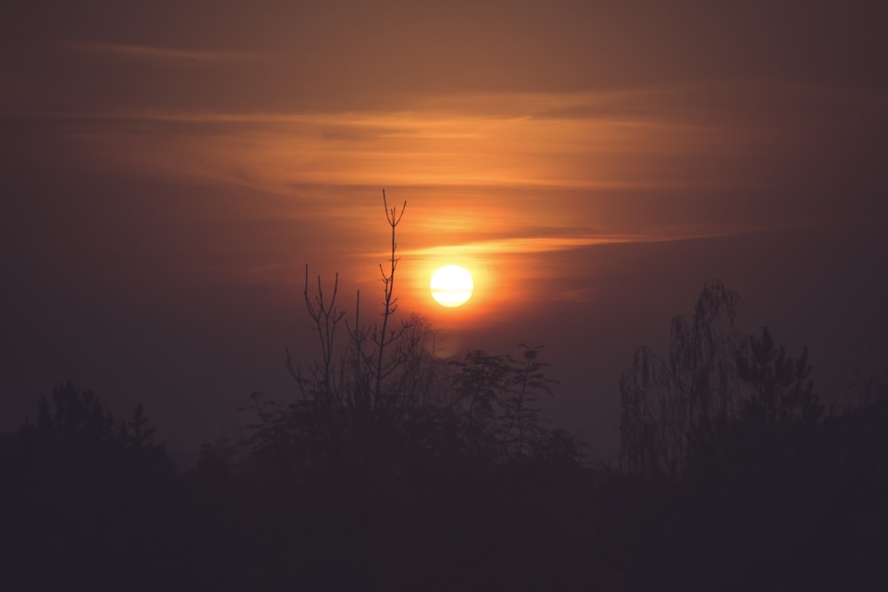 the sun is setting over the trees in the distance