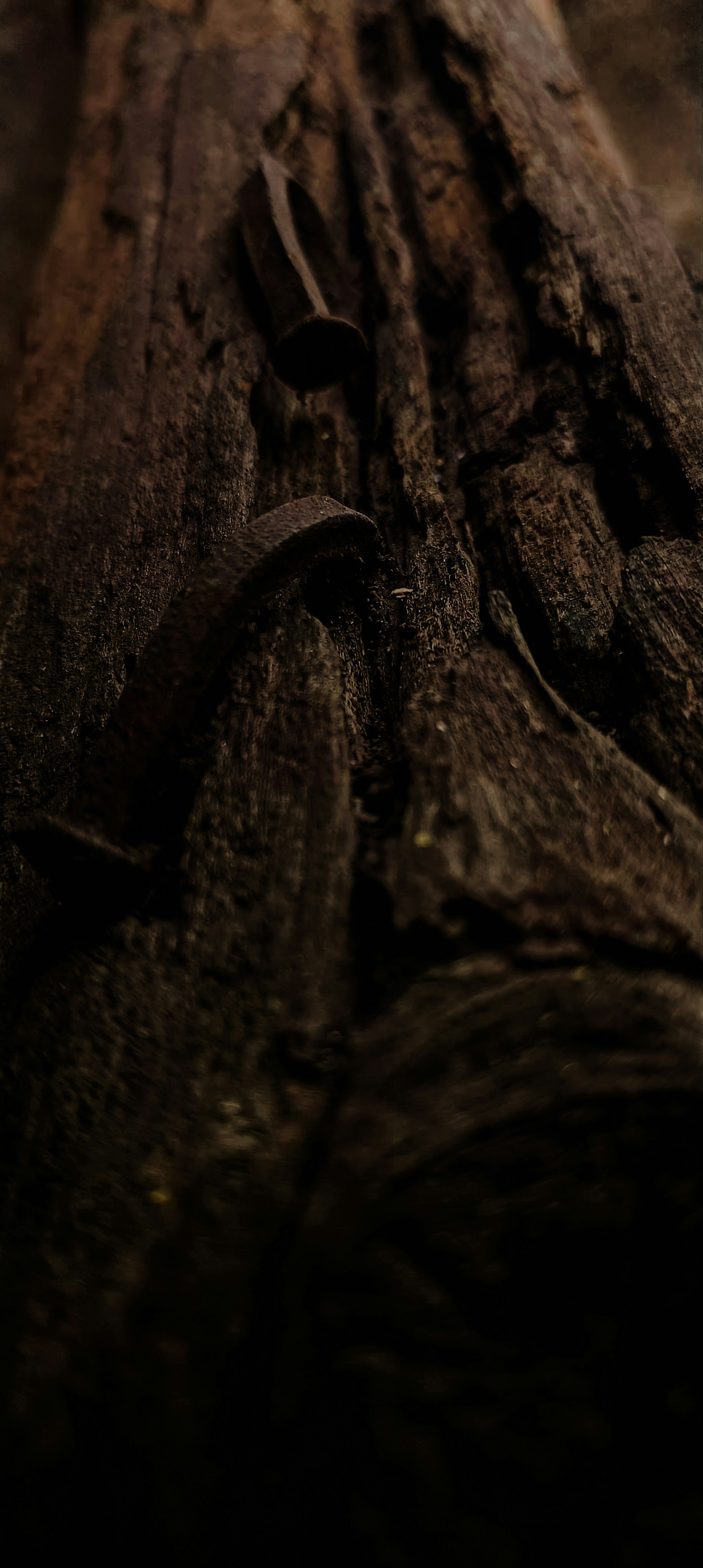 Photo by jus_beginner