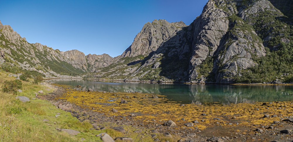 a mountain lake surrounded by grass and rocks