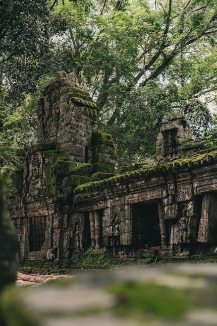 Ancient stone ruins are enveloped in dense, green foliage. Moss and vines partially cover the weathered stone structures, adorned with intricate carvings and a few statues. The scene exudes a sense of mystery and timelessness with towering trees surrounding the area.