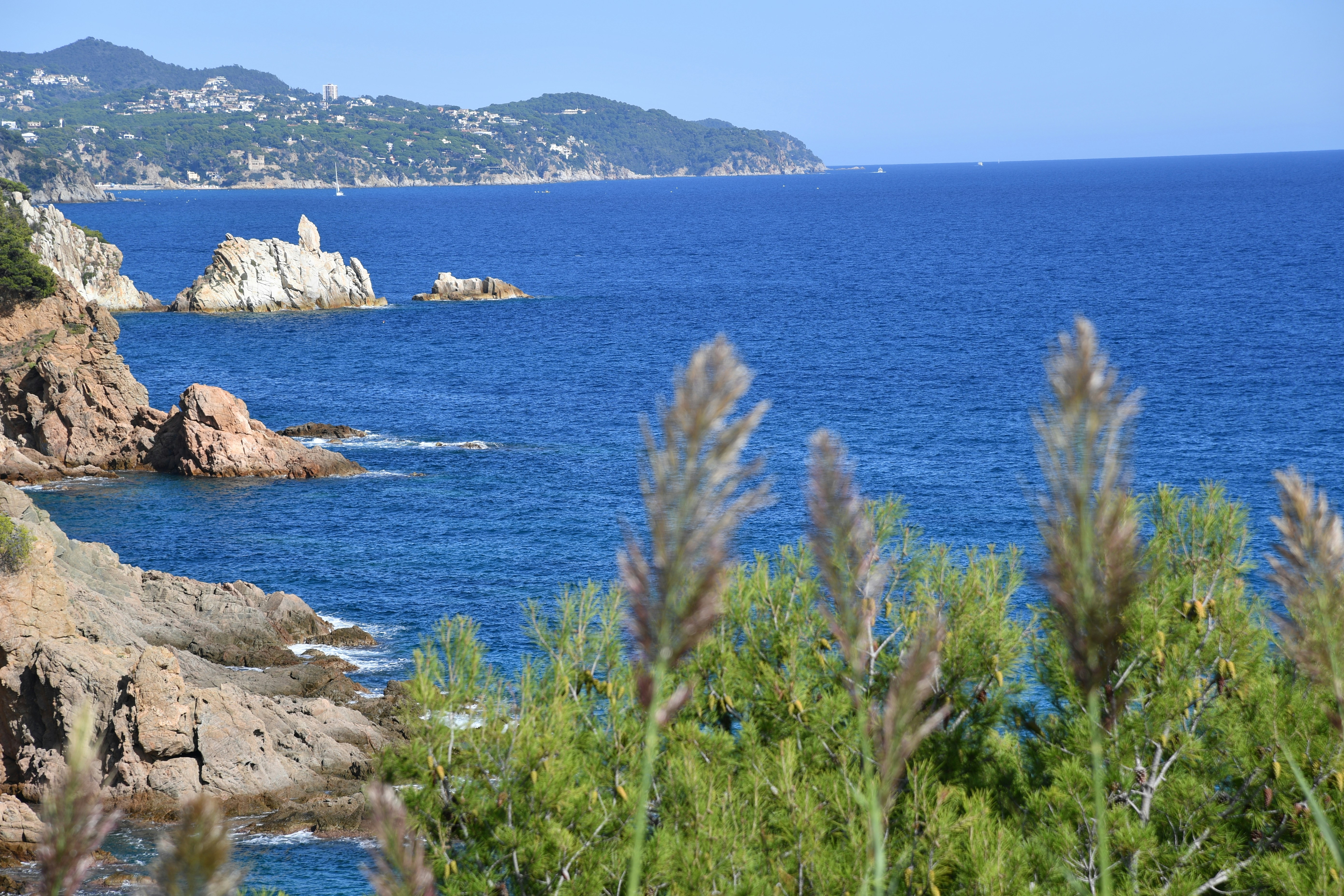 Photo by thomaslohmann