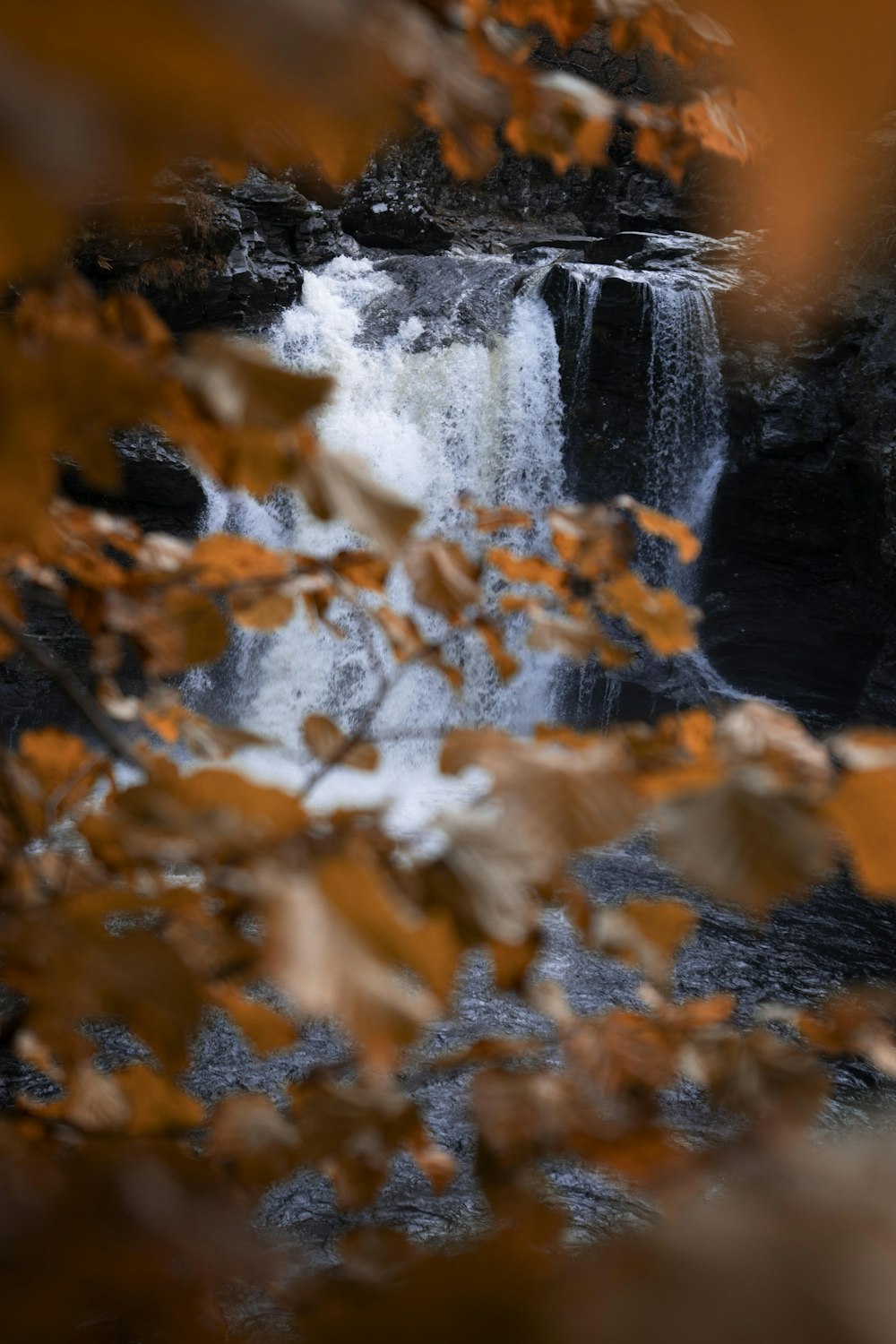 a waterfall is seen through the leaves of a tree