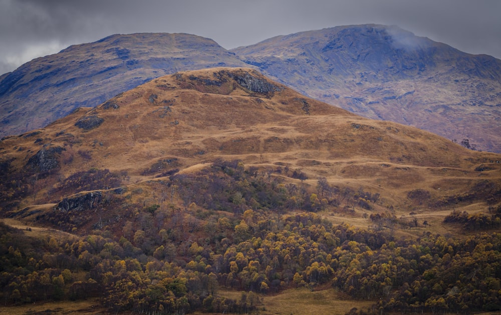 a view of a mountain range with trees in the foreground