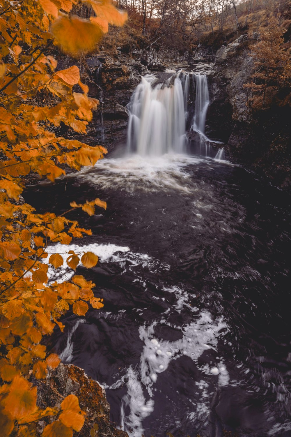 a waterfall in the middle of a forest