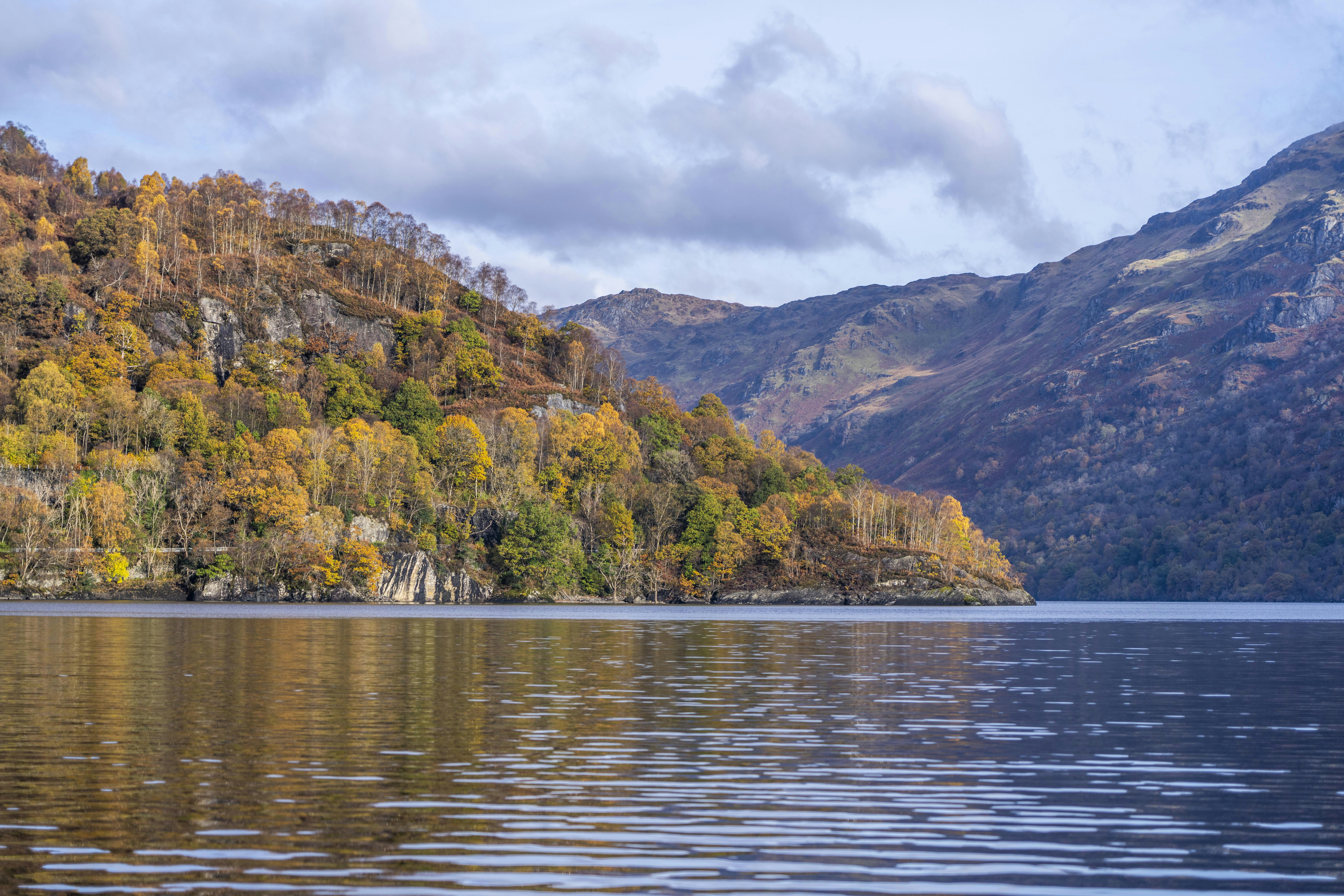 a body of water surrounded by mountains and trees, 