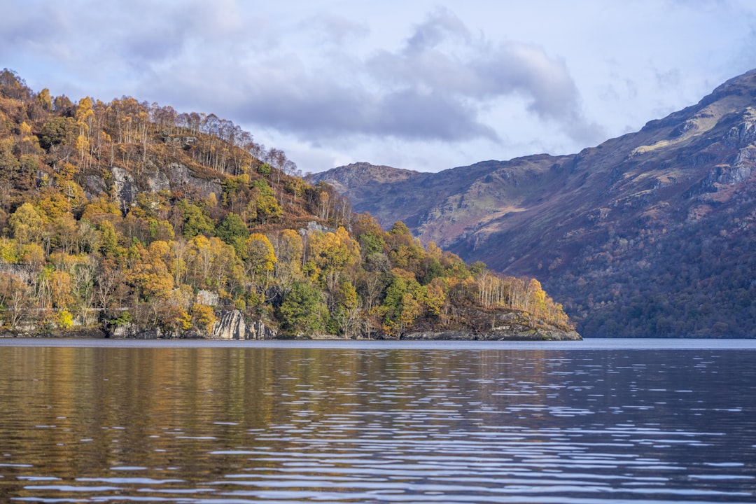 a body of water surrounded by mountains and trees,