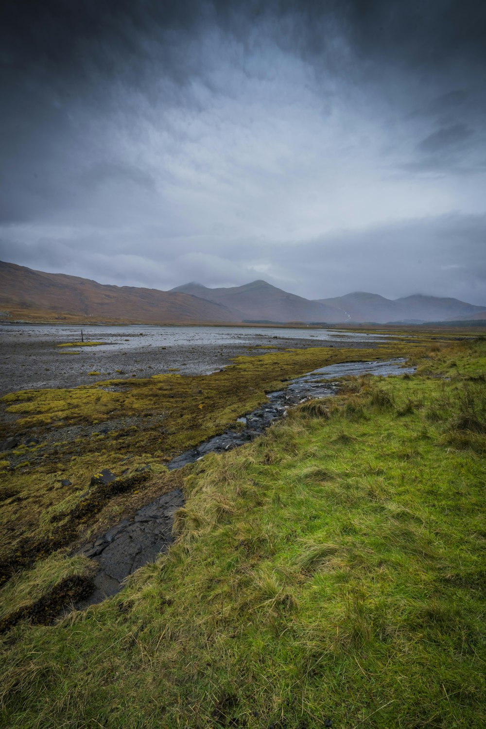 a grassy field with a stream running through it