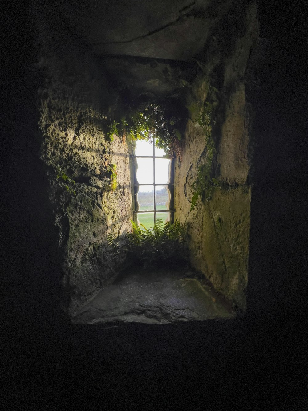 a window in a stone wall with moss growing on it