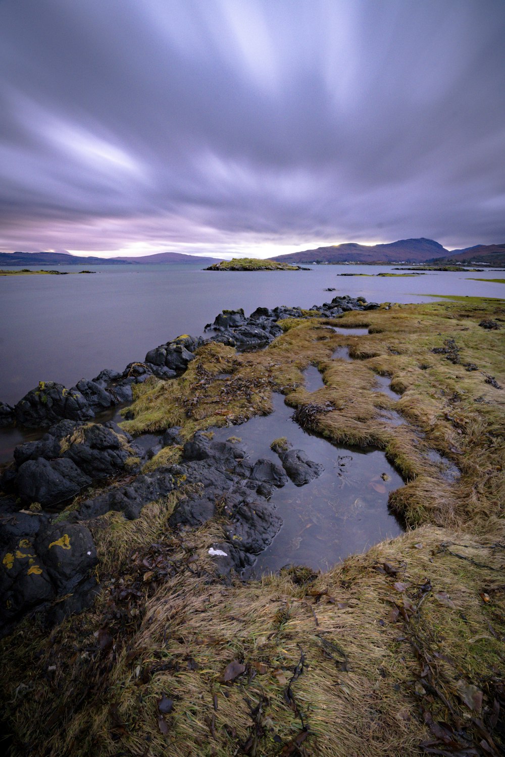 a body of water surrounded by grass and rocks