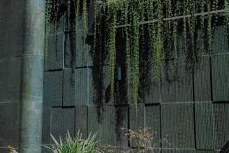 A textured green wall with vertical grooves and a cylindrical object attached. Long strands of cascading ivy hang from the top, creating a natural drape effect. At the base, various green plants add to the lush appearance.