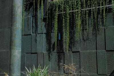 A textured green wall with vertical grooves and a cylindrical object attached. Long strands of cascading ivy hang from the top, creating a natural drape effect. At the base, various green plants add to the lush appearance.