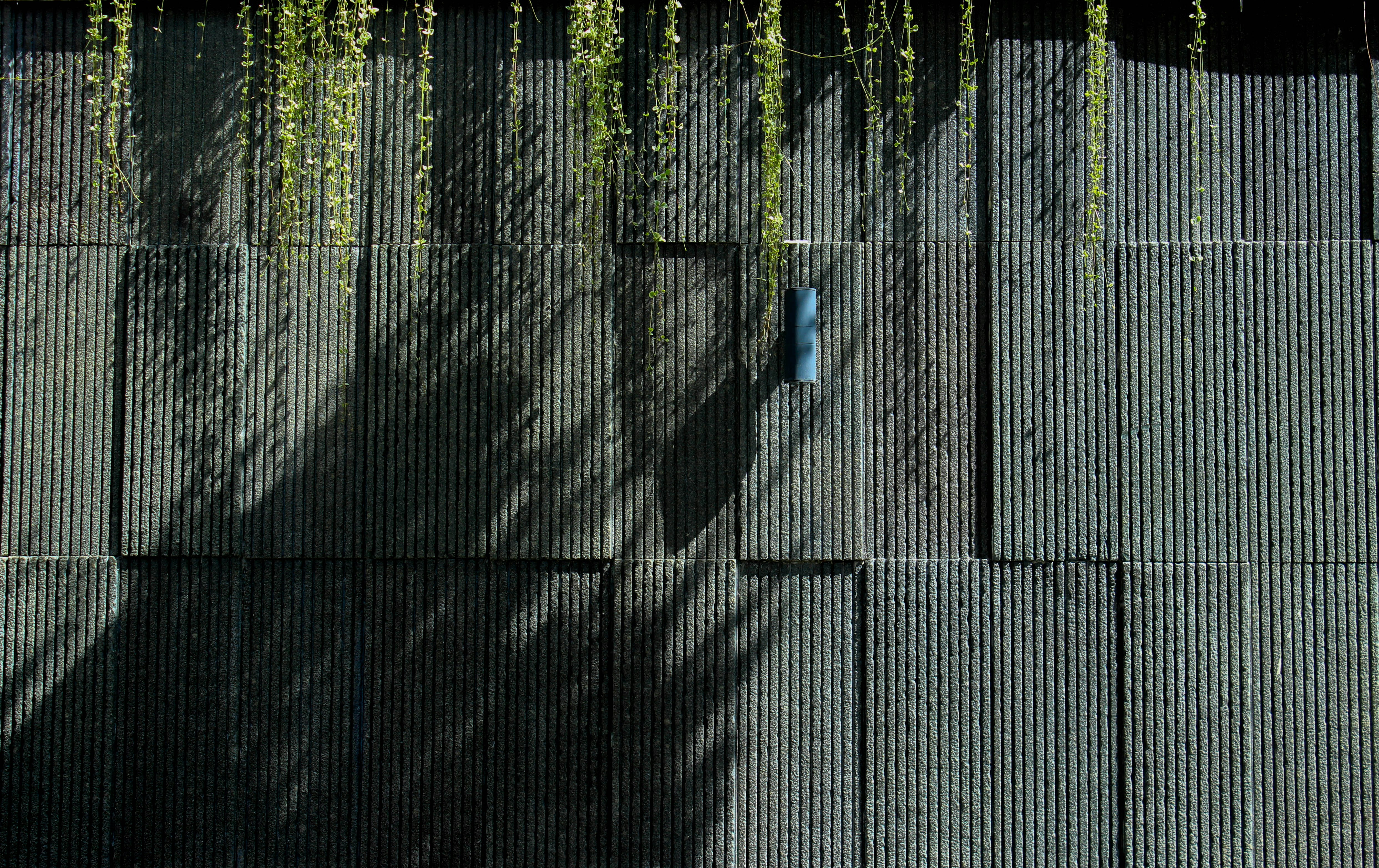 Photo by elham_frame