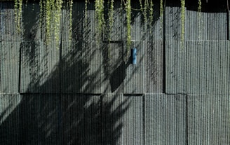 A textured, dark green wall featuring vertical lines with cascading shadows of plants creating an intricate pattern. Sparse, thin vines dangle from above, adding a natural element to the structured surface. A small blue rectangular object is mounted centrally on the wall.