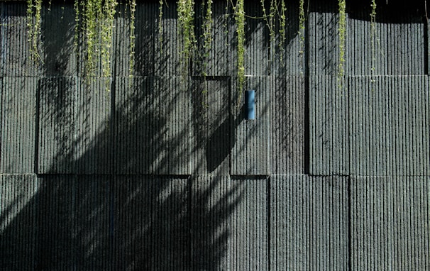 A textured, dark green wall featuring vertical lines with cascading shadows of plants creating an intricate pattern. Sparse, thin vines dangle from above, adding a natural element to the structured surface. A small blue rectangular object is mounted centrally on the wall.