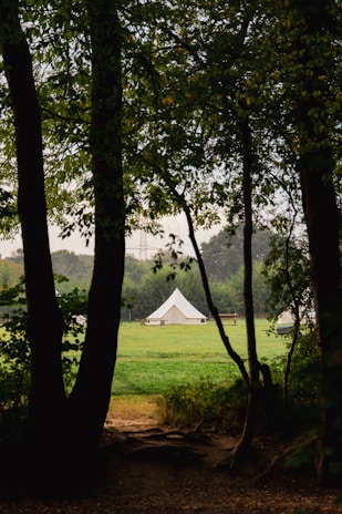 a tent is in the distance between two trees