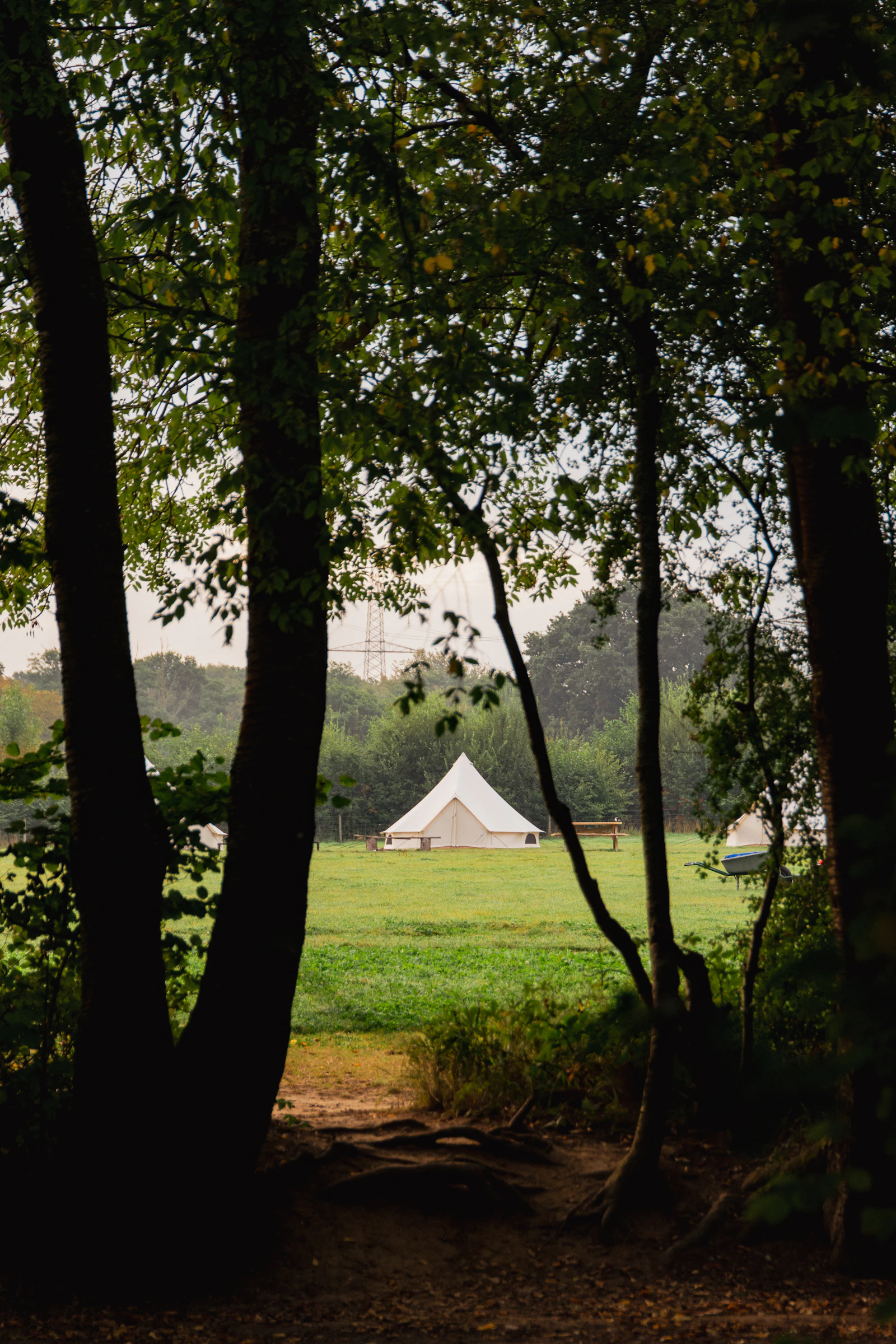 Placeholder for The Drasco Campsite: Forest path approach