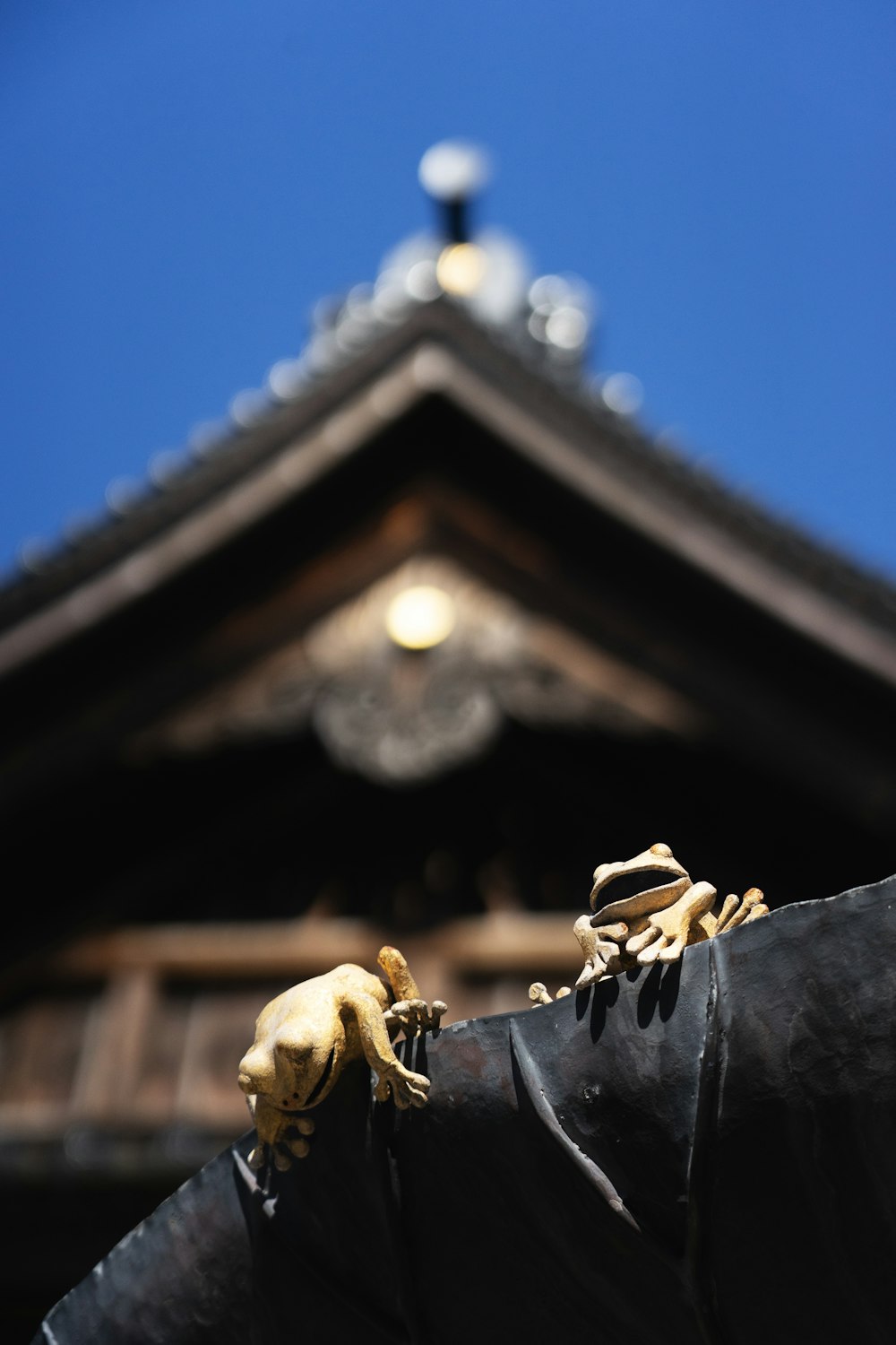 a close up of a statue of a frog on a roof