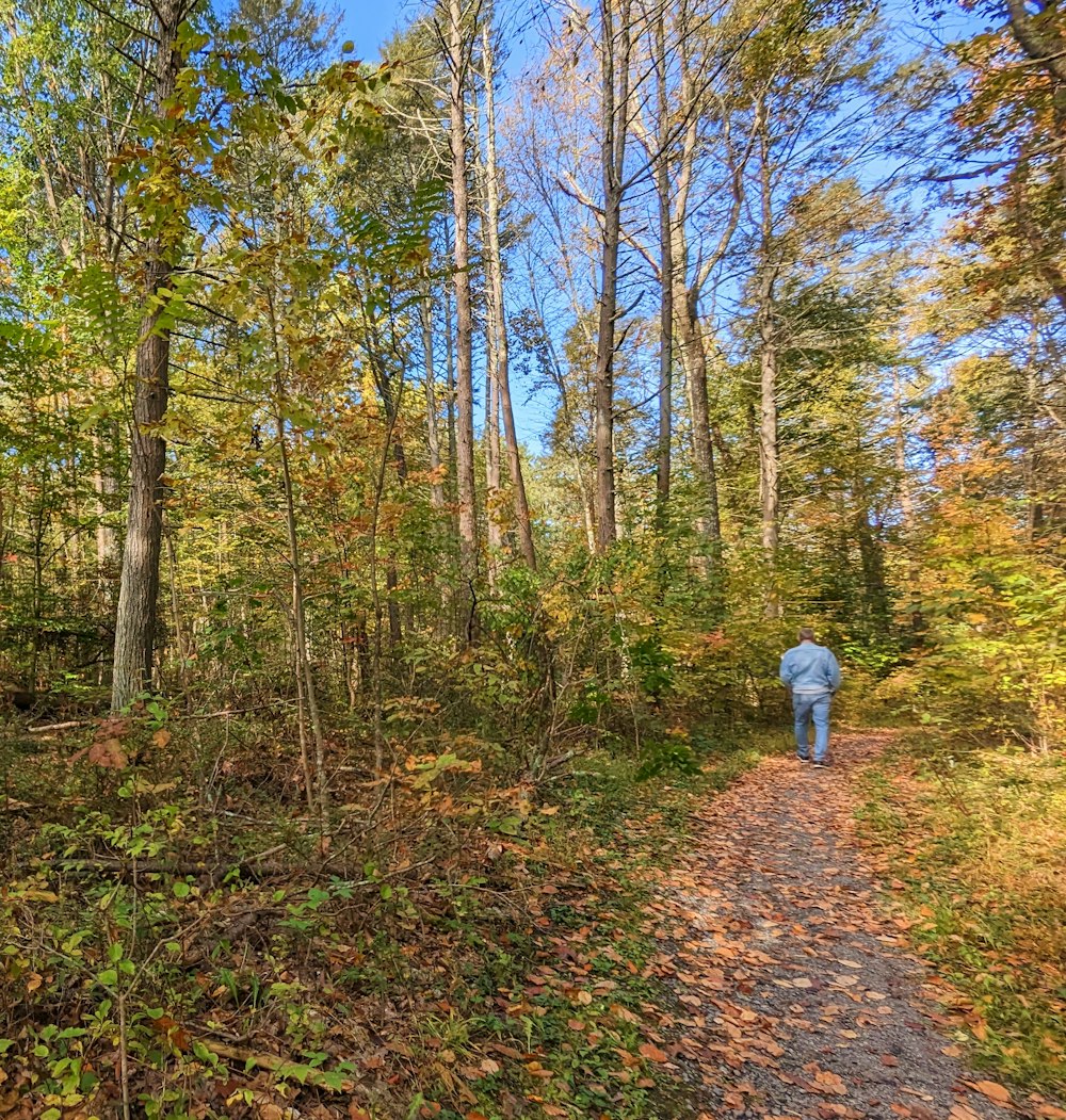 a person walking down a path in the woods