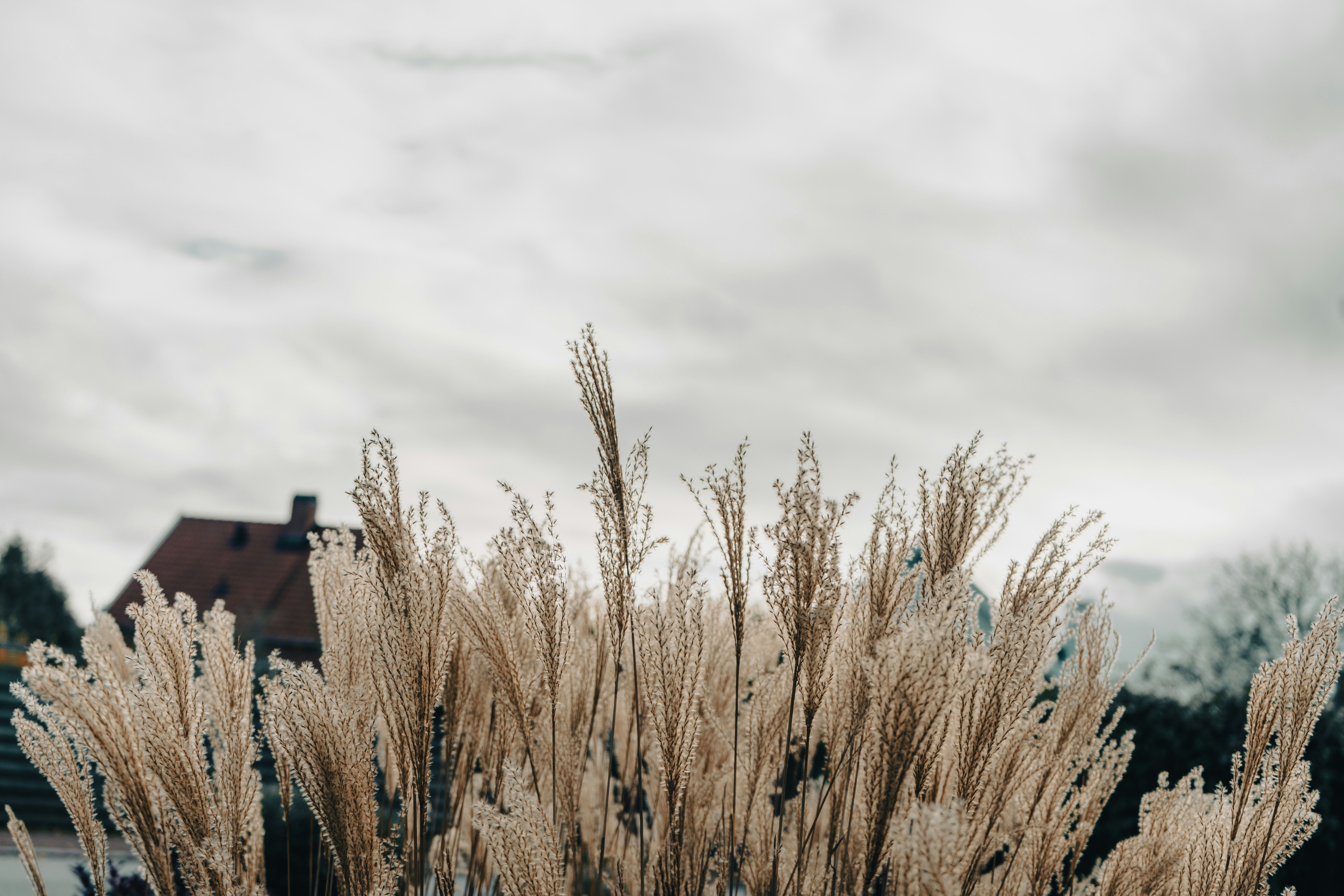 Photo by karthickgislen