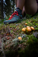 Close-up of a waterproof hiking shoe with durable sole on forest floor
