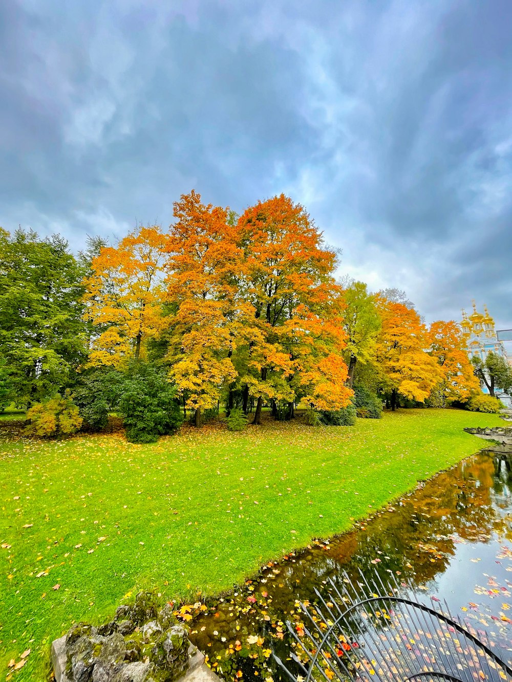 a grassy area with a pond and trees in the background