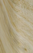 Flowing and textured fibers create a natural wave pattern. The material appears to be dried and resembles strands of hair or fibrous plant matter.