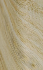 Flowing and textured fibers create a natural wave pattern. The material appears to be dried and resembles strands of hair or fibrous plant matter.