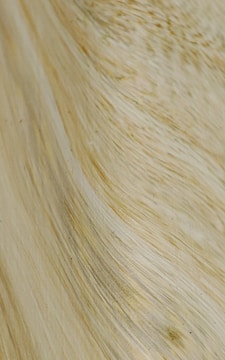 Flowing and textured fibers create a natural wave pattern. The material appears to be dried and resembles strands of hair or fibrous plant matter.
