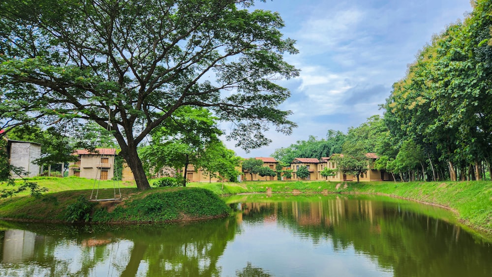 a pond surrounded by trees and buildings in the background