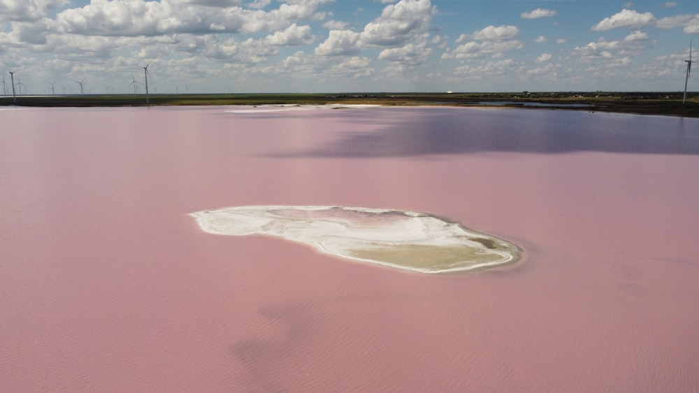 a body of water with a pink substance in the middle of it
