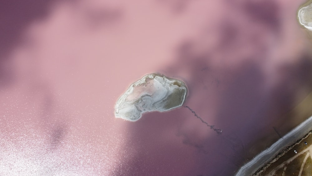 a piece of rock sitting on top of a pink surface