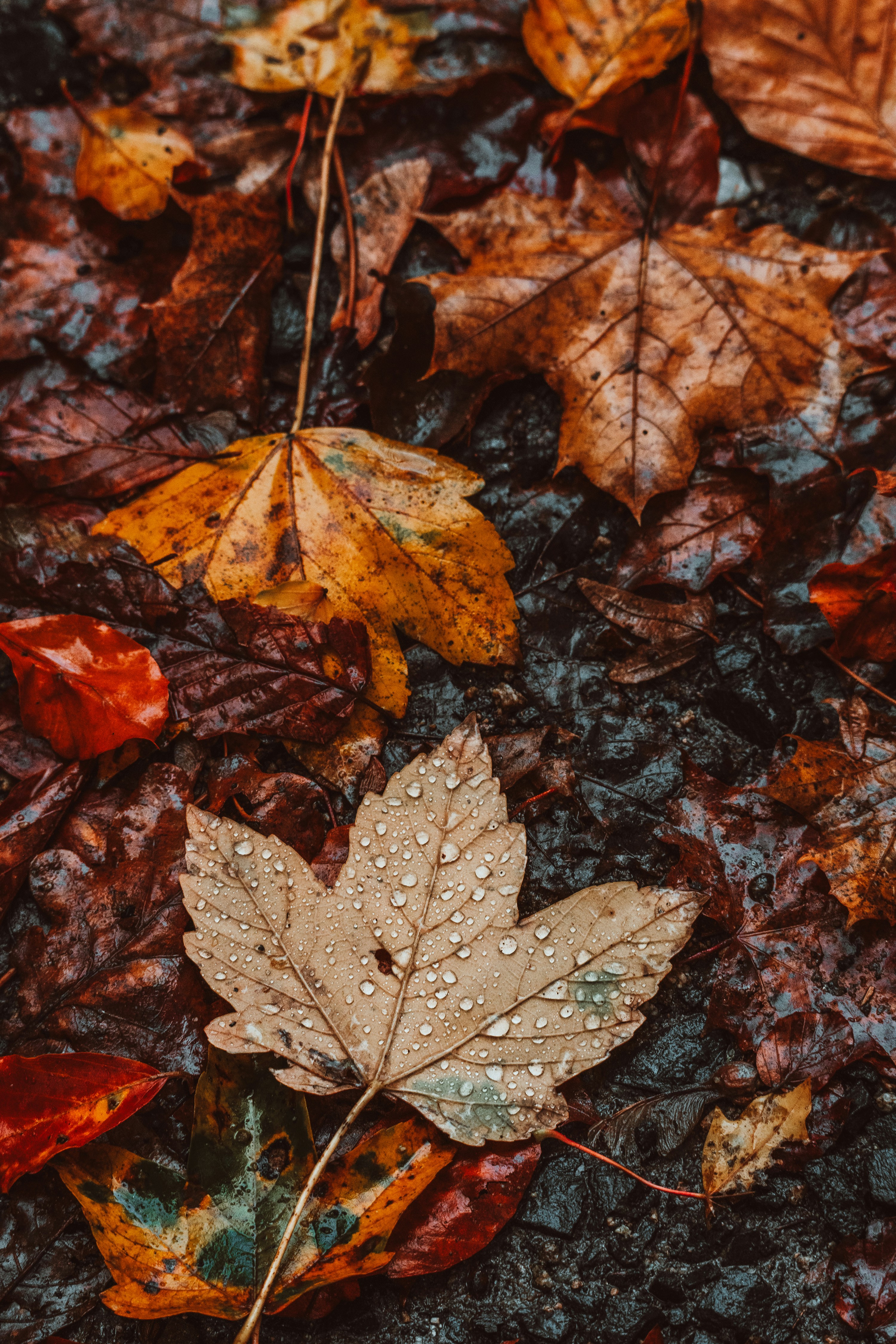 Photo by masoodaslami