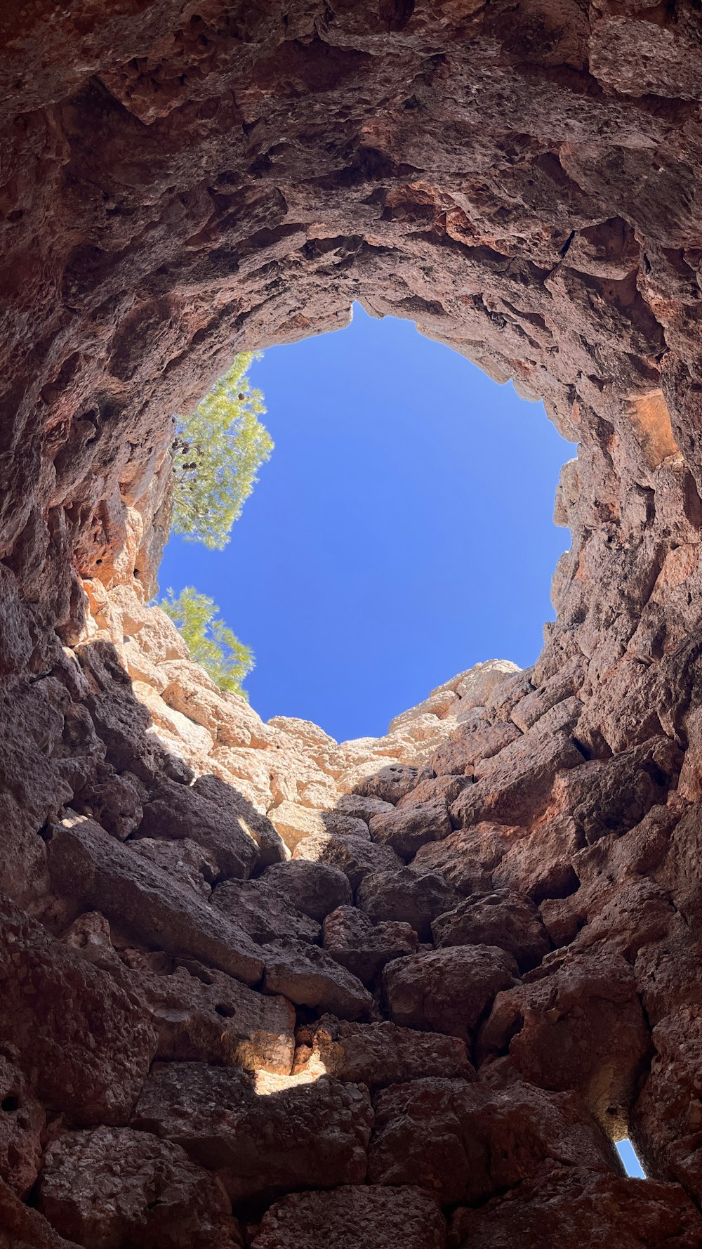 a hole in a rock wall with a tree in the middle