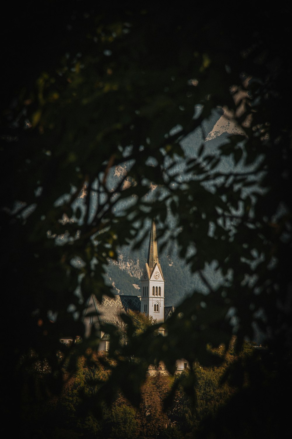 a church with a steeple surrounded by trees