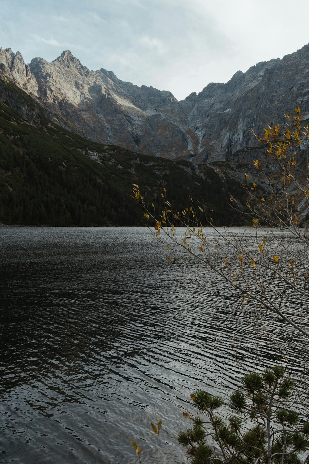 a body of water surrounded by mountains and trees