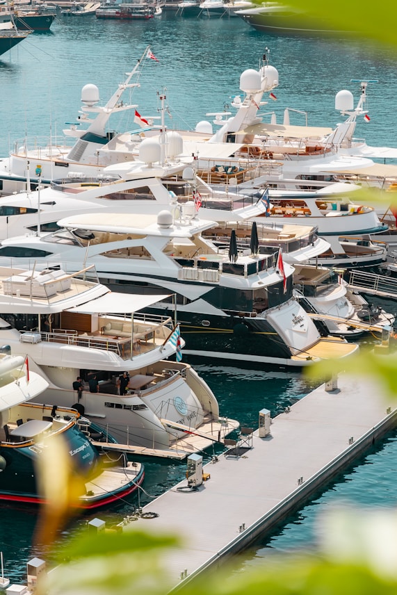 A serene marina with luxury yachts docked near a lush national park.