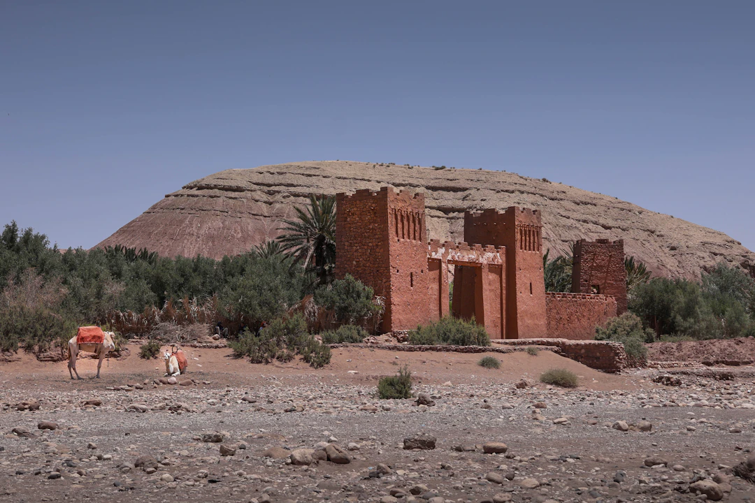 4-Day Budget Travel Itinerary for Merv, Turkmenistan