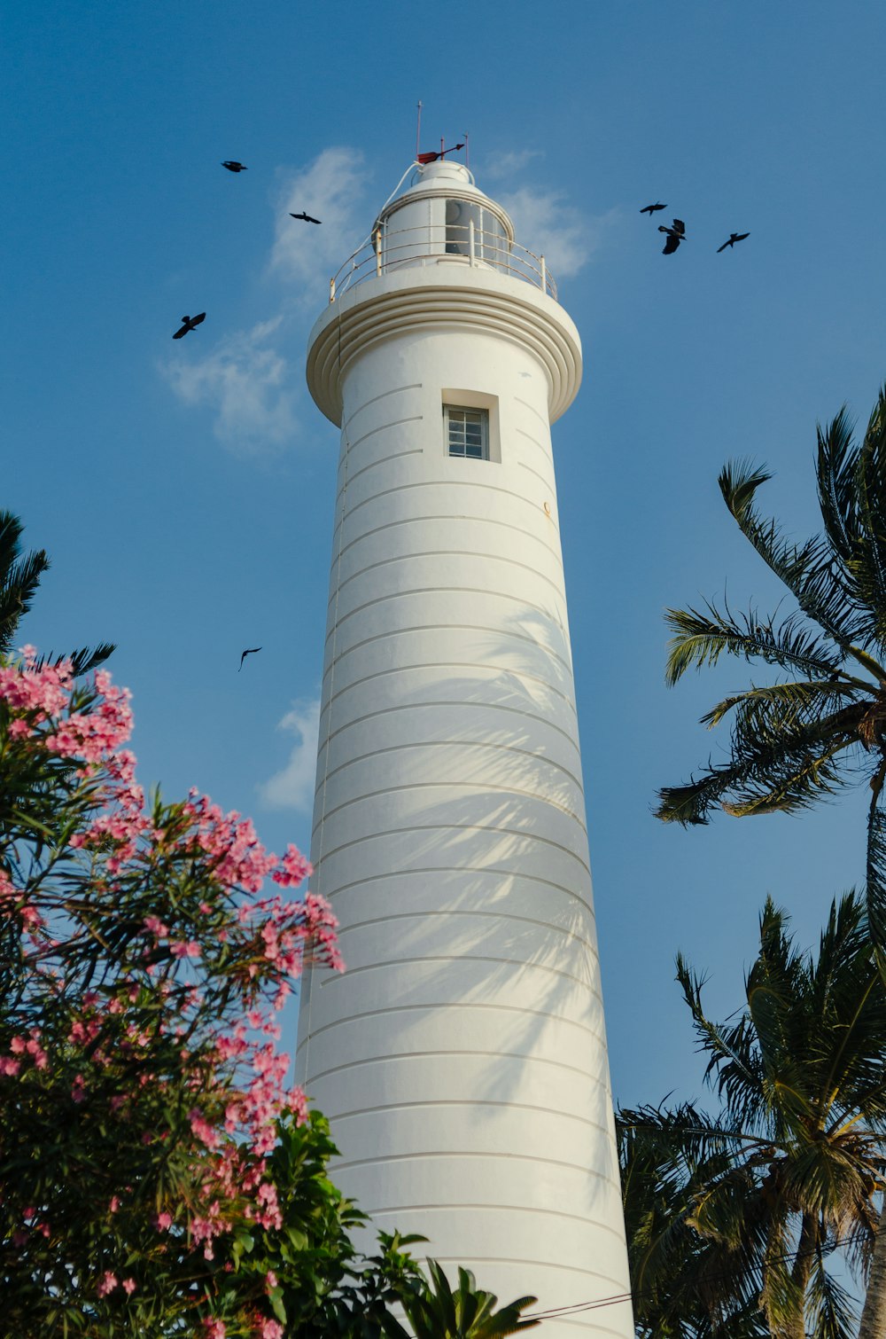 a white light house surrounded by palm trees